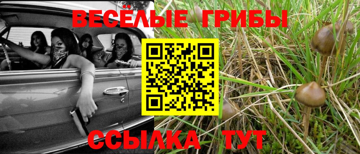 Псилоцибиновые грибы Cubensis  Псилоцибиновые грибы MAGIC MUSHROOMS  Вход с VPN  Новоуральск 